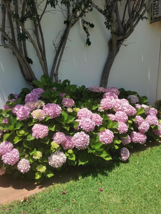 Villa Luxury 3 Bedroom With Private Pool Cabanas De Tavira